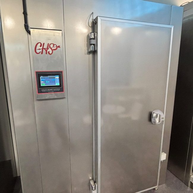 Abbattitore professional chs
